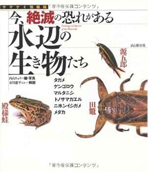 水の生き物 61vCmJv97hL._UF350,350_QL50_.jpg